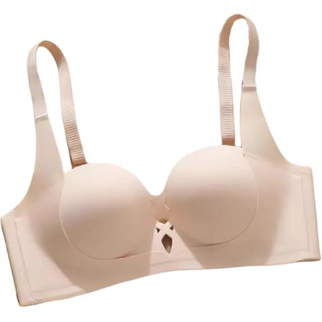 黛尔佳人 半杯无痕加厚小胸聚拢显大内衣女光面收副乳防下垂无钢圈胸罩女文胸 女款