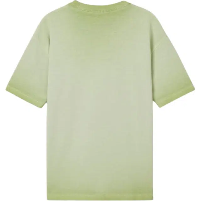 levis T