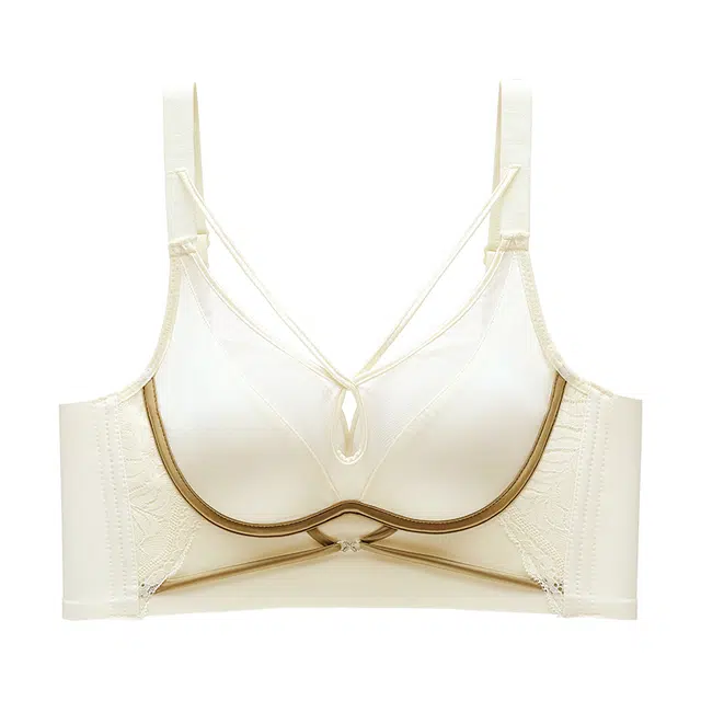 二三二三 速干吸汗清爽美背排湿柔软亲肤抗菌舒适纯色百搭聚拢文胸 女款