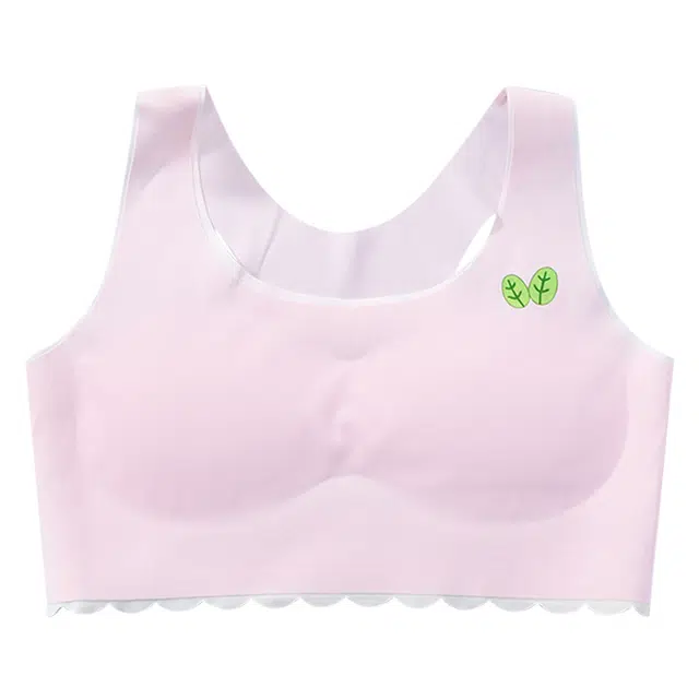 二三二三 美背速干吸汗清爽排湿百搭少女文胸抗菌内衬速干面料柔软亲肤舒适内衣 女款