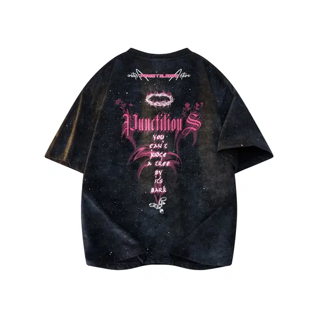 PUNCTILIOUS T
