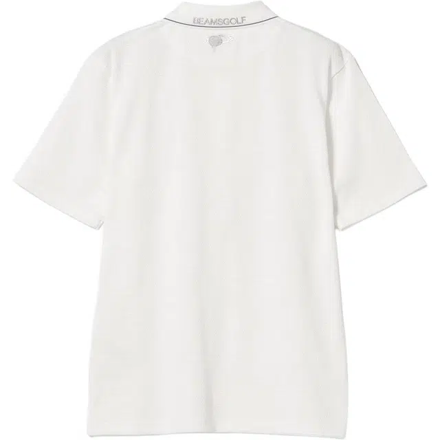beams LogoPolo
