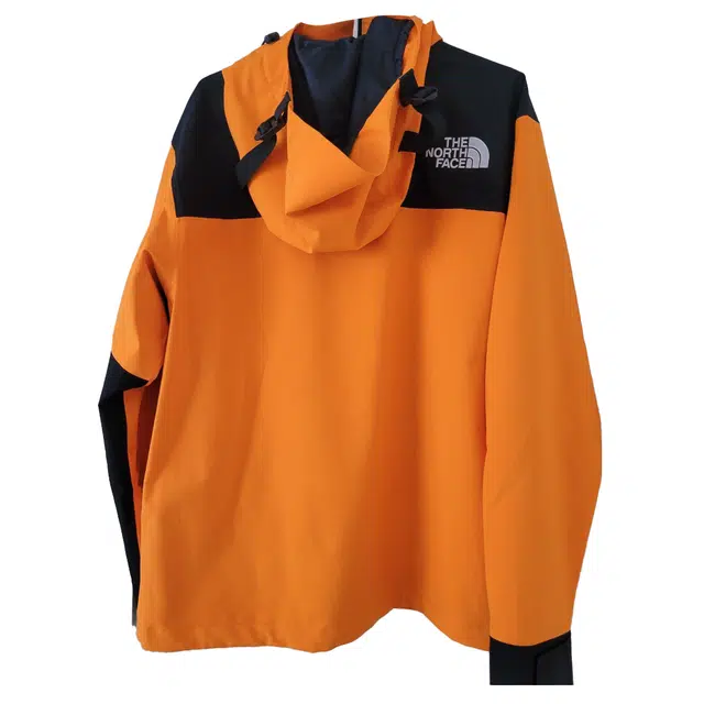 THE NORTH FACE 1990 GTX Logo