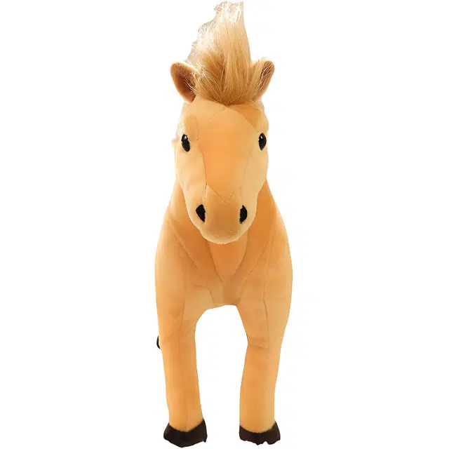 26cm