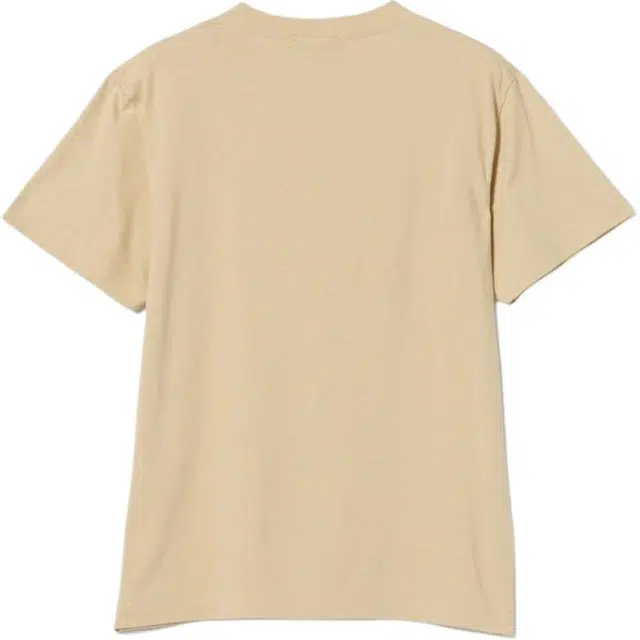 beams T