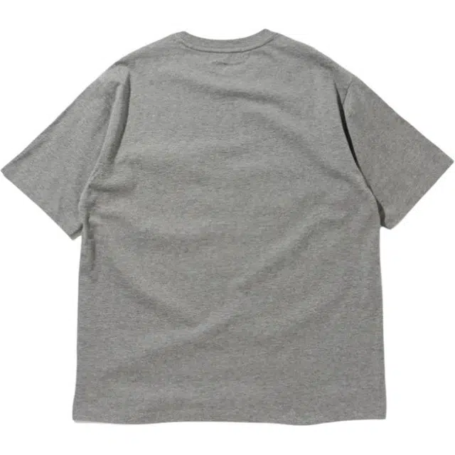 beams T