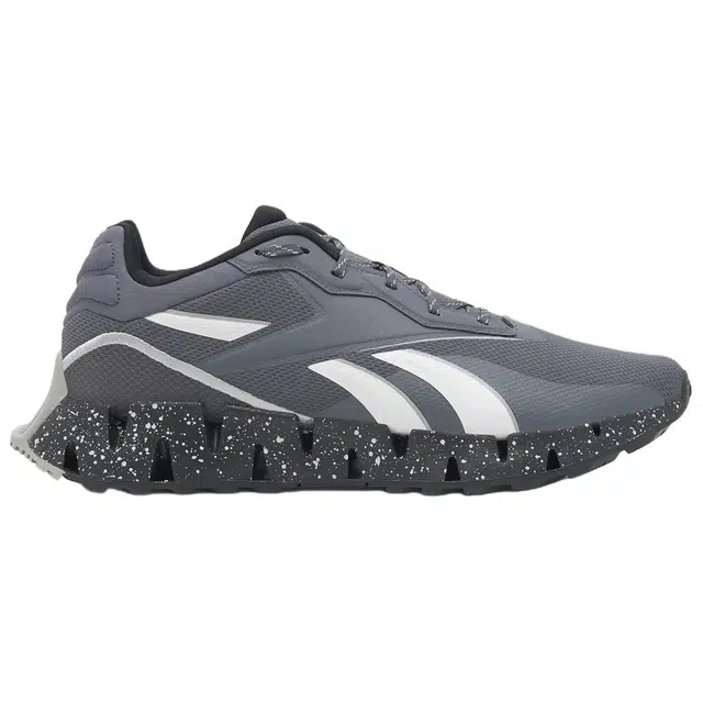 Reebok Zig Dynamica 4