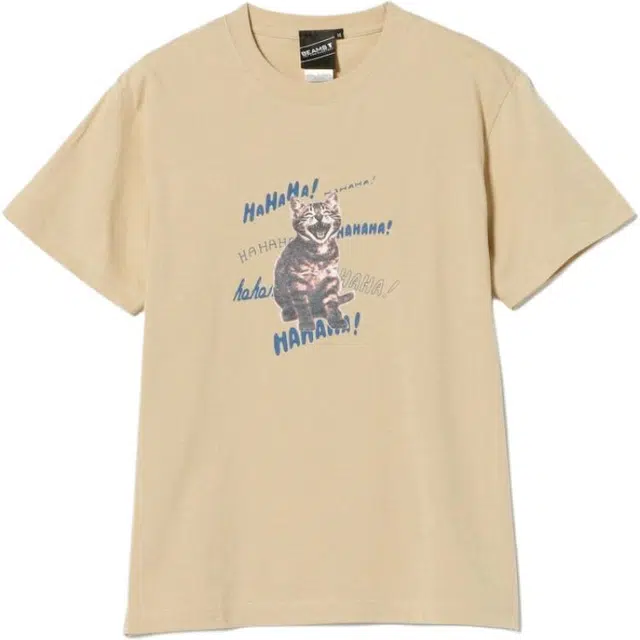 beams T