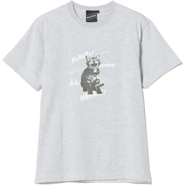 beams T