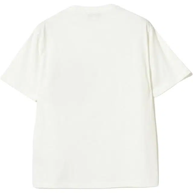 beams T