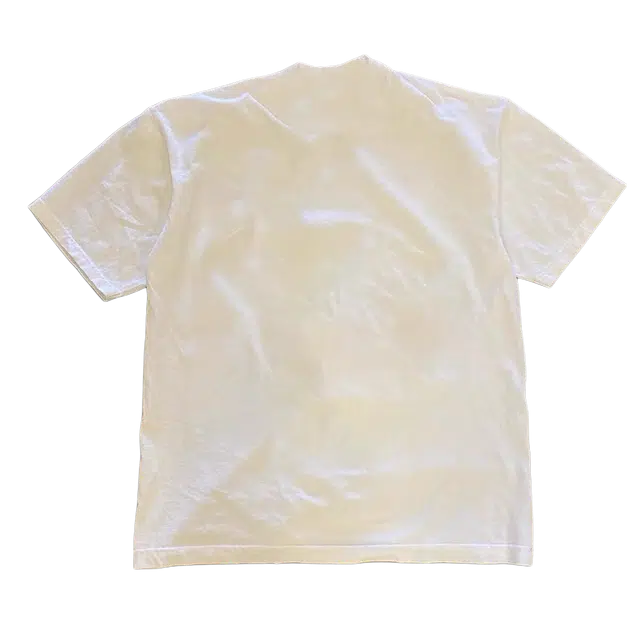 PVPVPV T