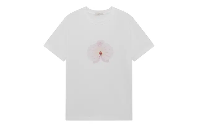 d'zzit T