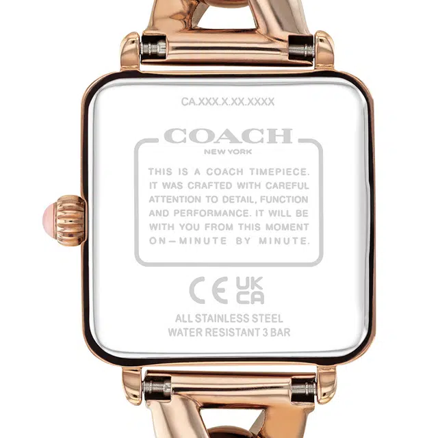 COACH Cass 30