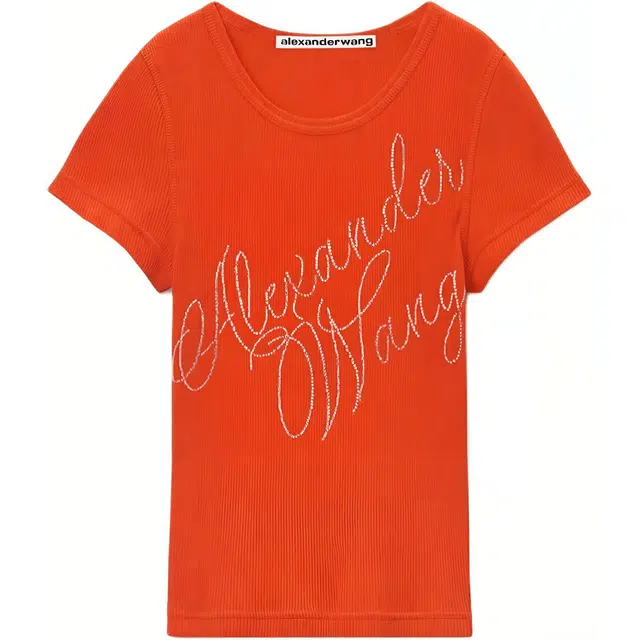 alexander wang FW24 T
