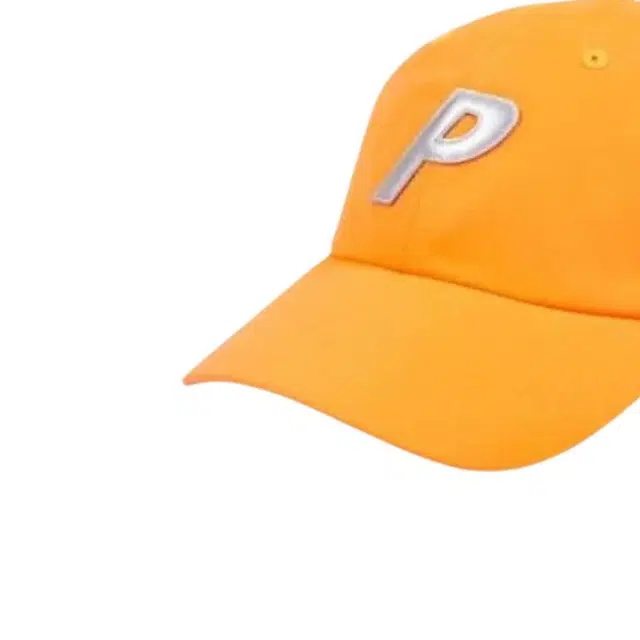 PALACE -
