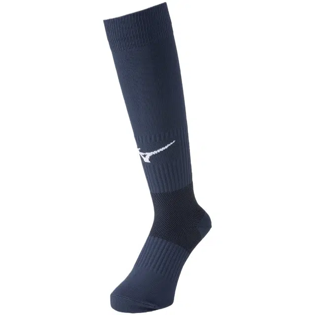 Mizuno 1