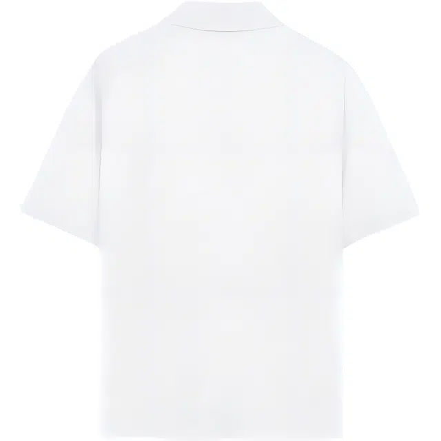 LSVE POLOPolo
