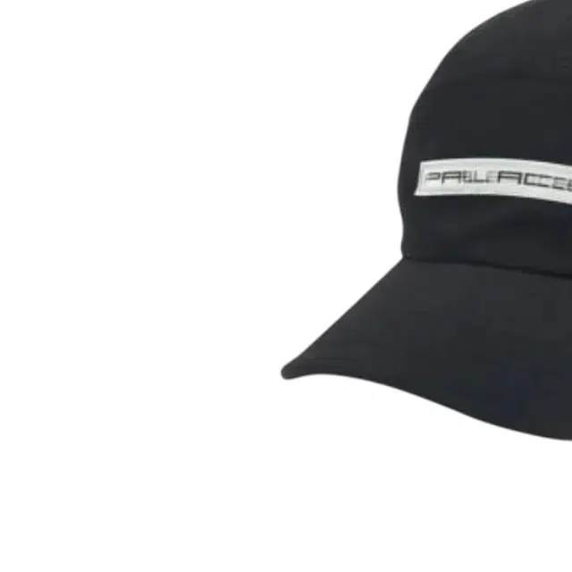 PALACE -