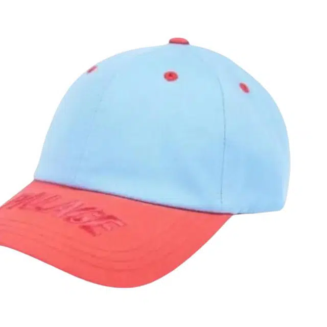 PALACE 6 -