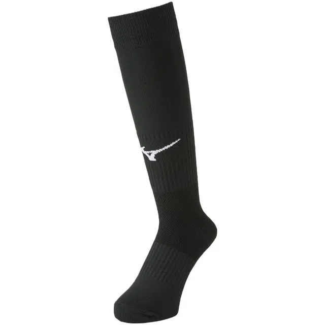 Mizuno 1