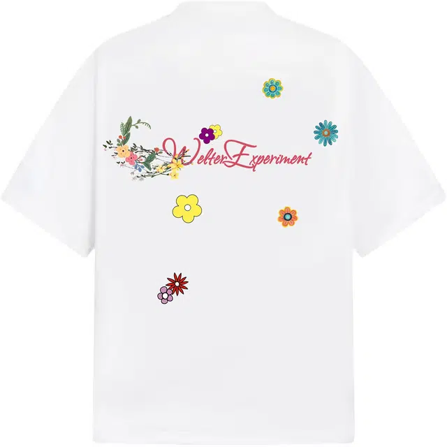 WELTER EXPERIMENT T