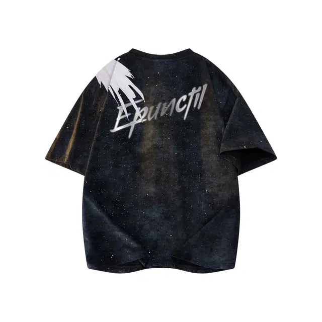 PUNCTILIOUS T