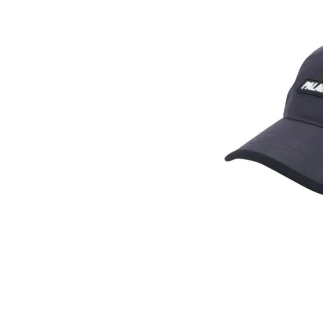 PALACE -