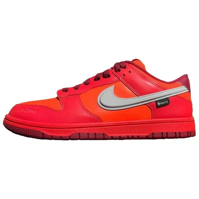 Nike Dunk GTX GORE-TEX