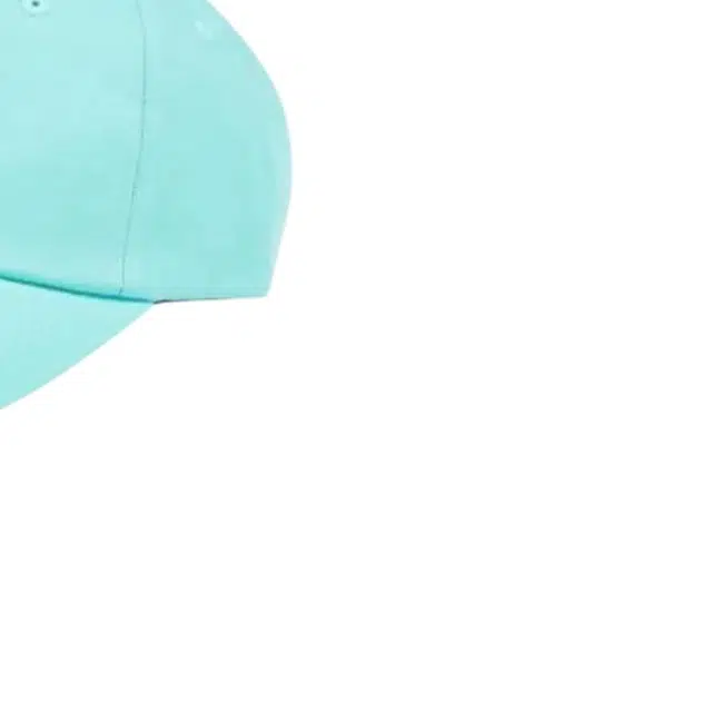 PALACE -