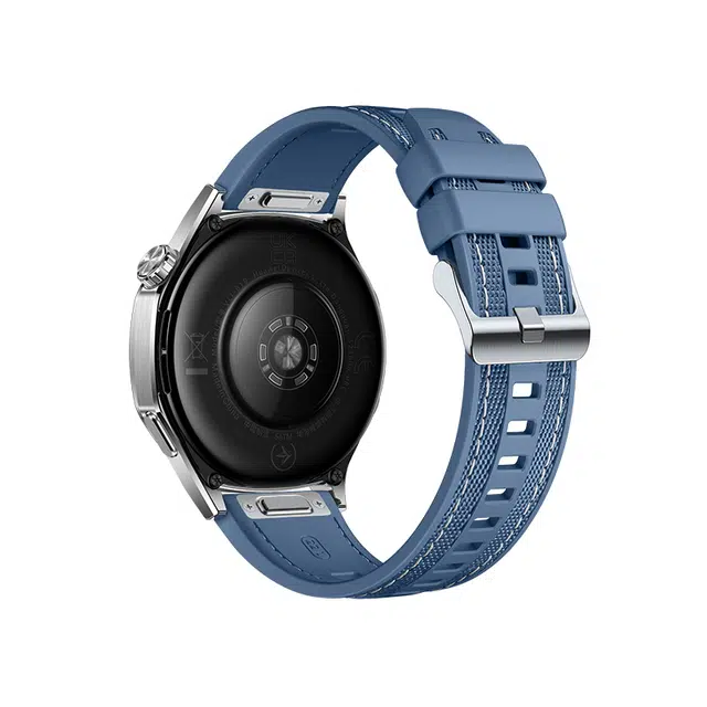 WP + GT543watch446mm