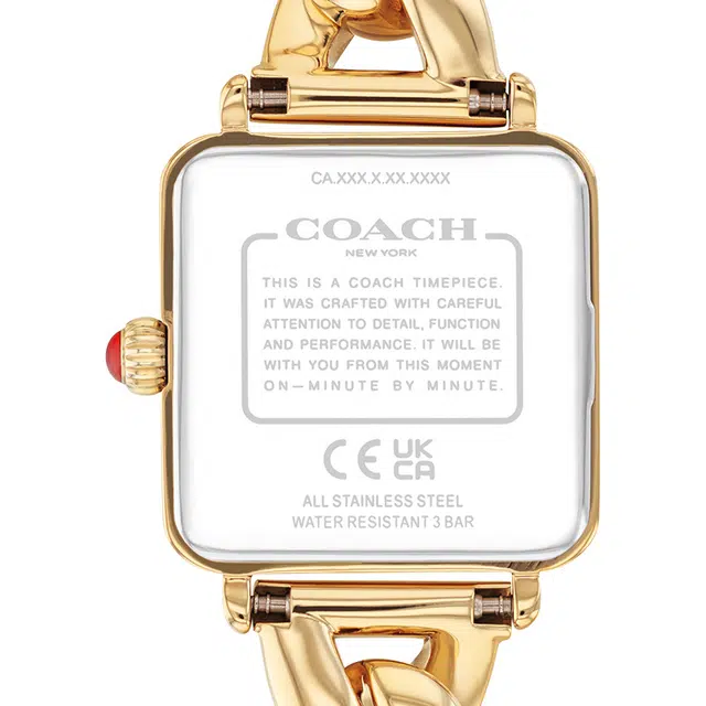 COACH Cass 30