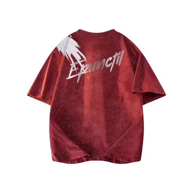 PUNCTILIOUS T