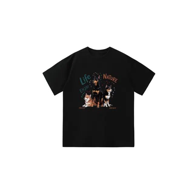 PVPVPV T