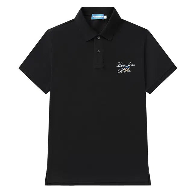 LogoPolo