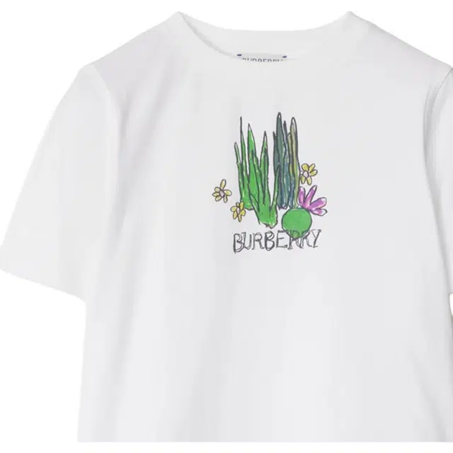 Burberry FW24 T
