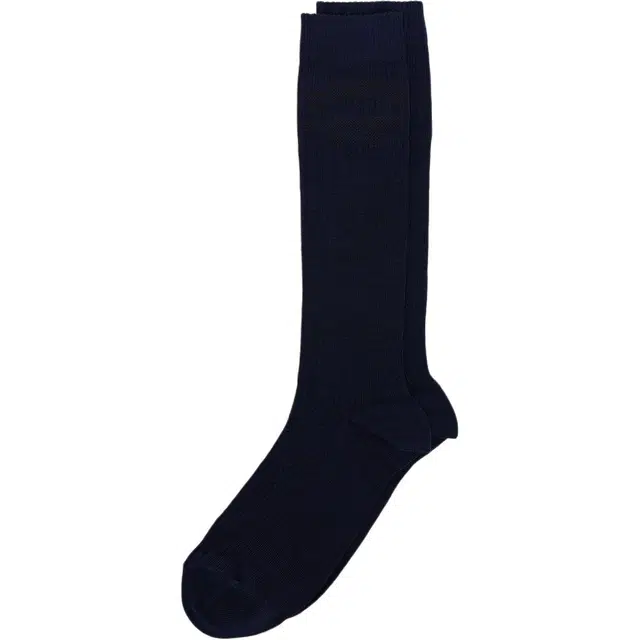 iceberg 1