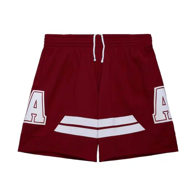 Mitchell Ness Swingman 200304