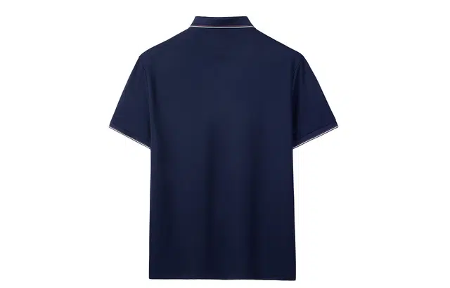 CSKS LogoPolo