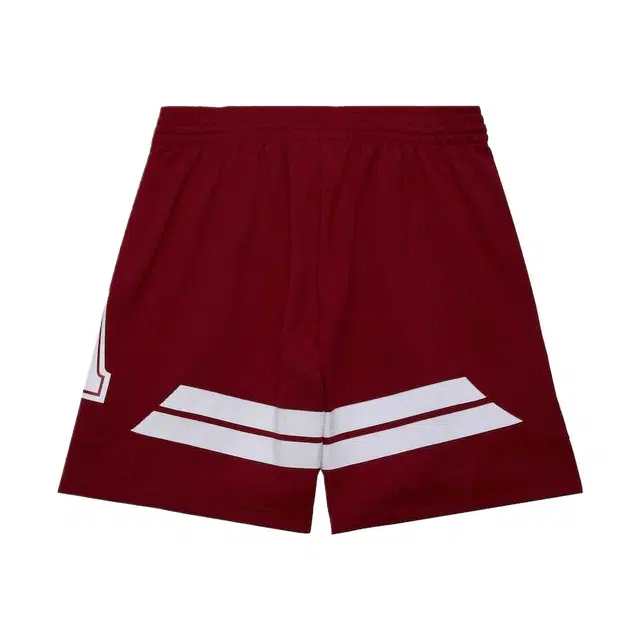 Mitchell Ness Swingman 200304