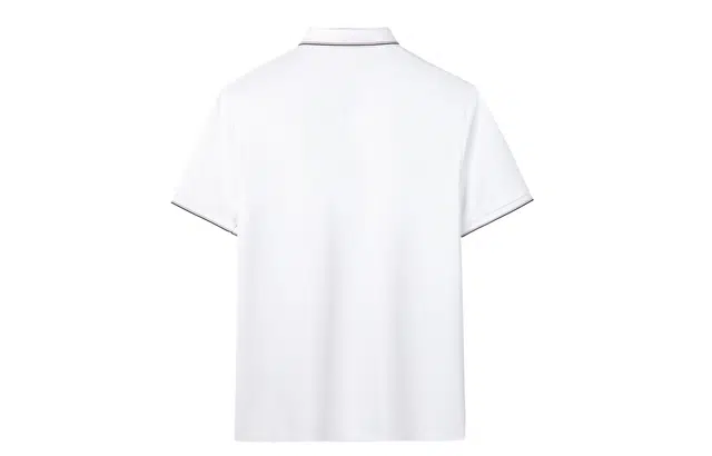 CSKS LogoPolo