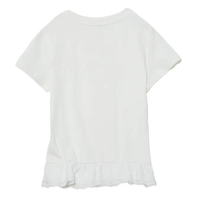 WESTLINK T