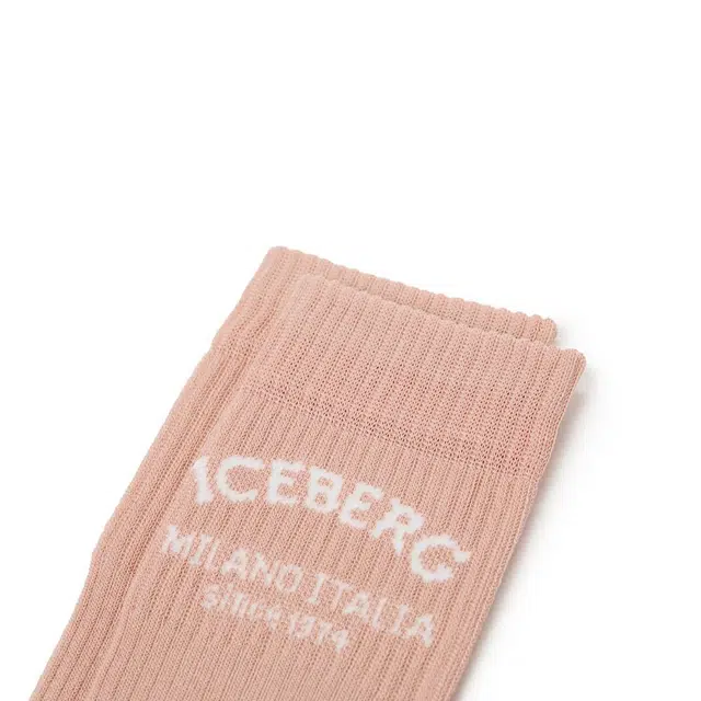 iceberg 1