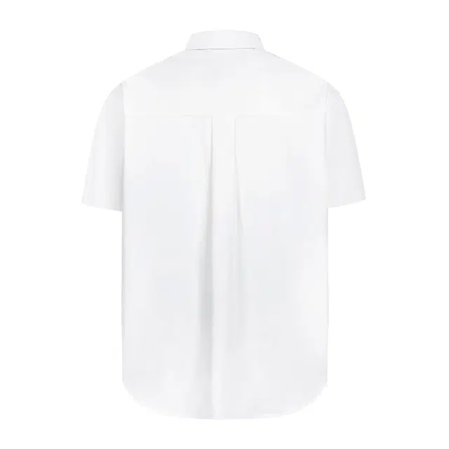 WELTER EXPERIMENT polo