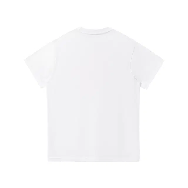 PVPVPV T