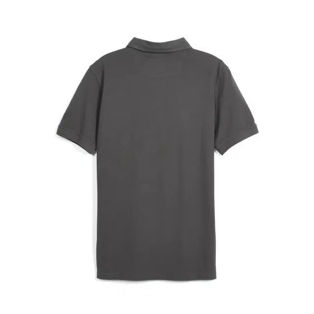MCS Polo