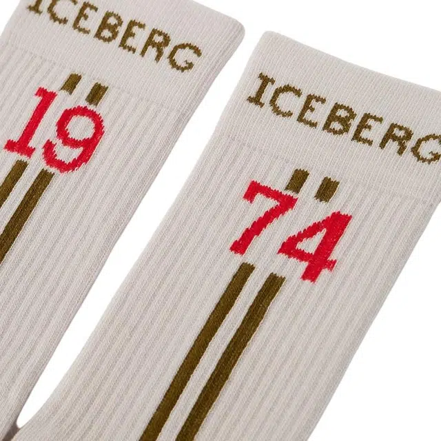 iceberg