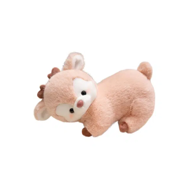 30cm