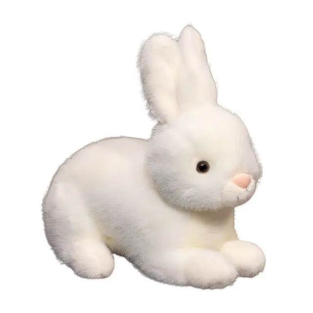 21cm