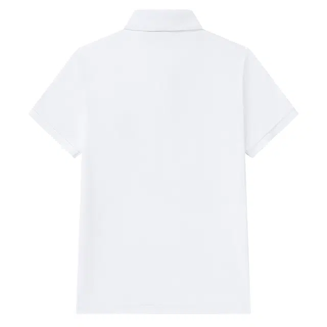 LogoPolo