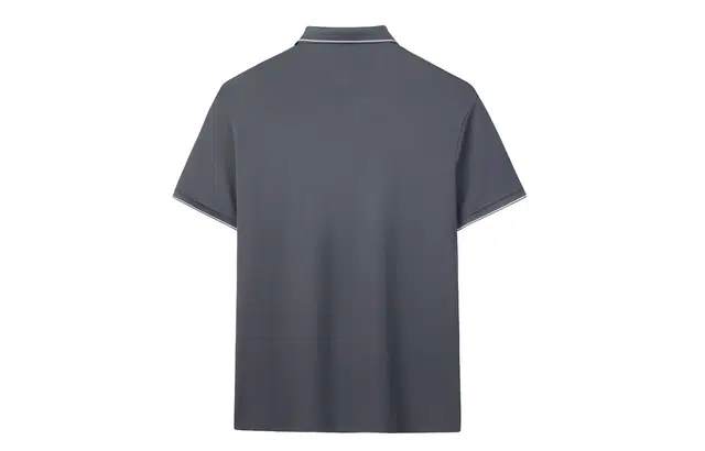 CSKS LogoPolo